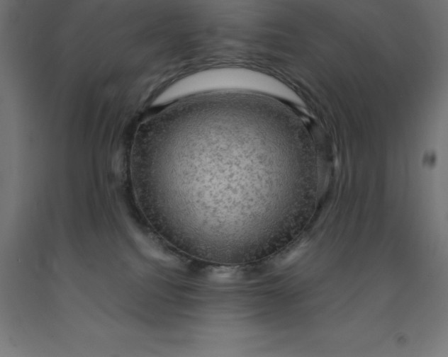 X0000092000088200709271517