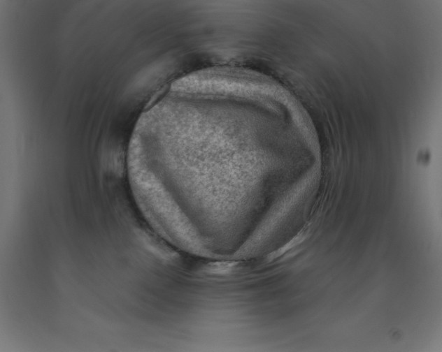 X0000092000090200709271517