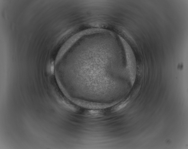 X0000092000095200709271517