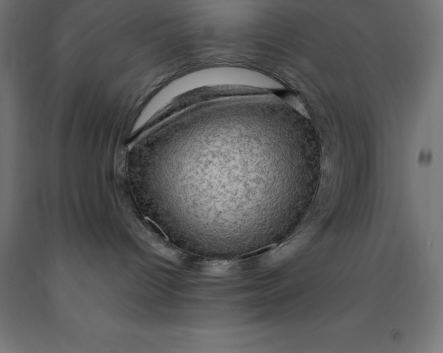 X0000092000096200709271517