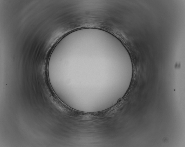 X0000092000098200709271516