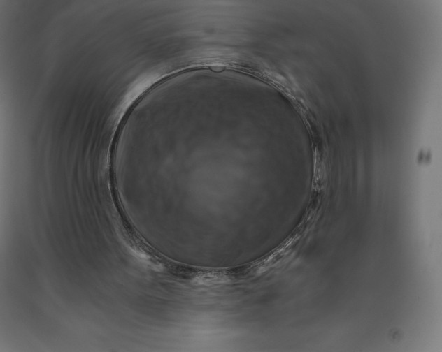 X0000092000099200709271516