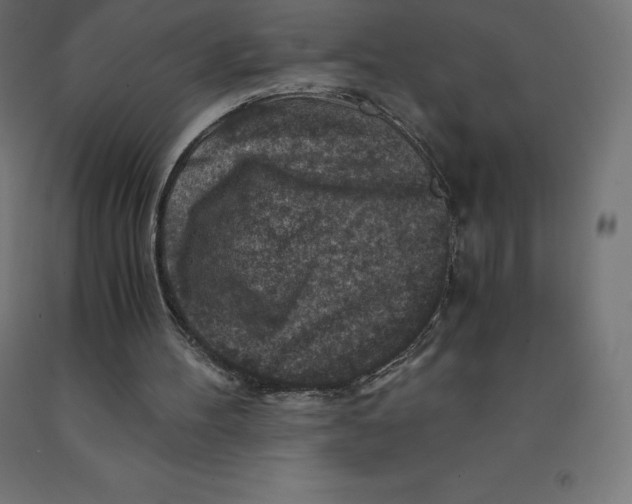 X0000092000100200709271516