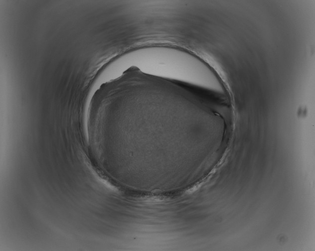 X0000092000105200709271516