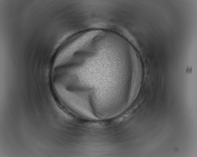 X0000092000106200709271516