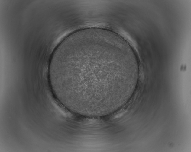 X0000092000107200709271516