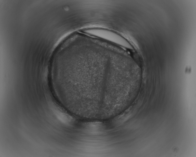 X0000092000108200709271516