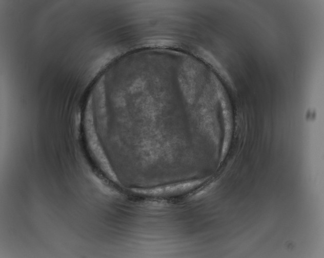 X0000092000110200709271516