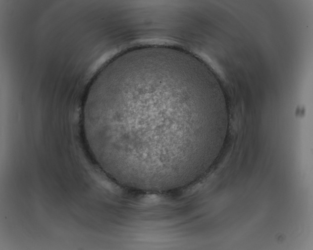 X0000092000111200709271516