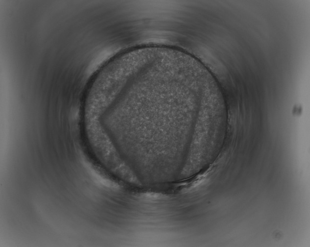 X0000092000112200709271516