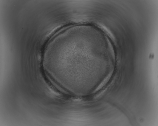 X0000092000113200709271516