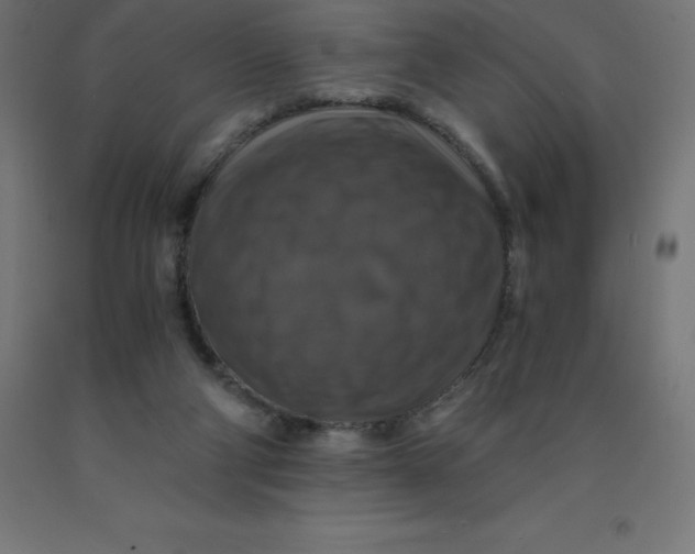 X0000092000114200709271516