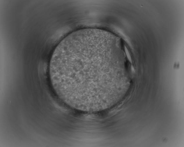 X0000092000115200709271516