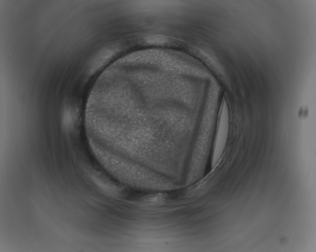 X0000092000116200709271516