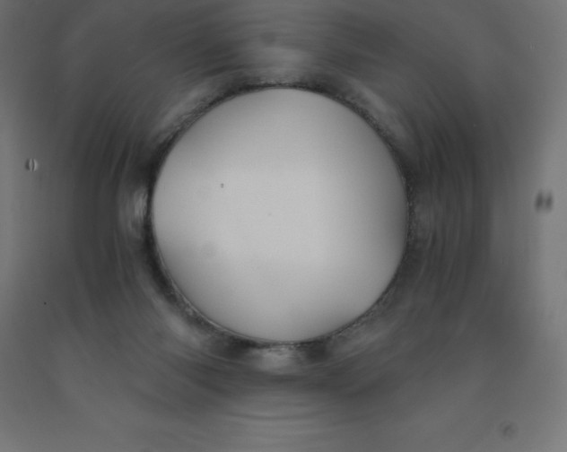 X0000092000118200709271516