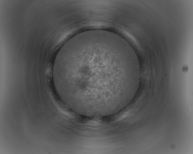 X0000092000119200709271516