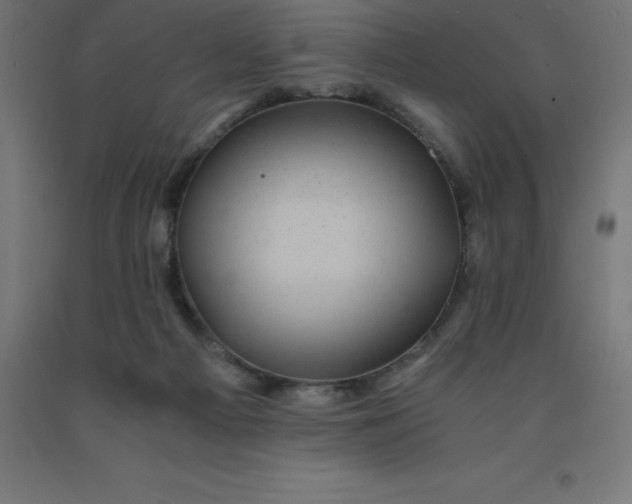 X0000092000121200709271516