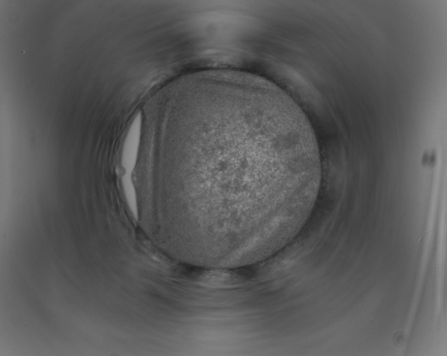 X0000092000123200709271516