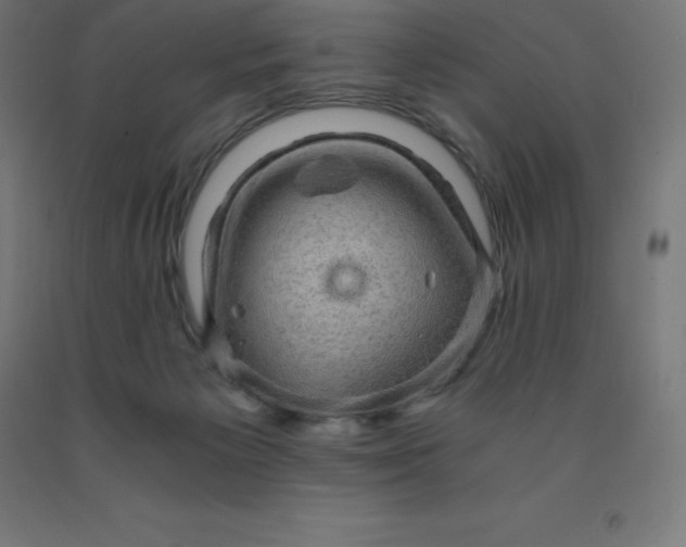 X0000092000125200709271516