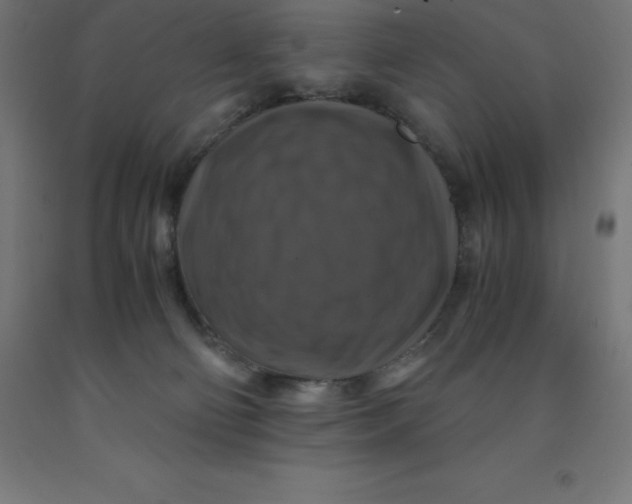 X0000092000130200709271516