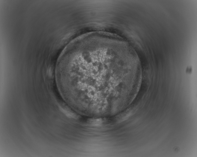 X0000092000131200709271516