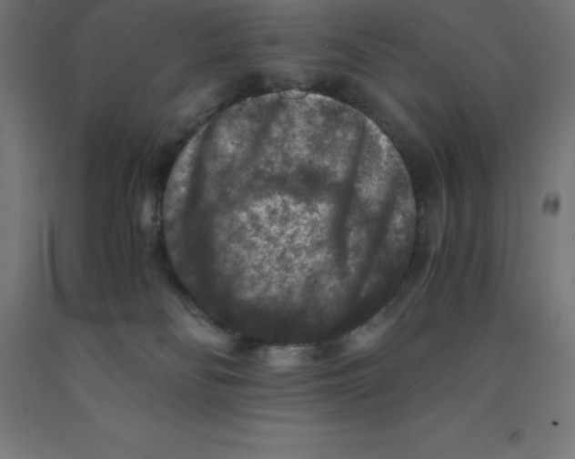 X0000092000134200709271516