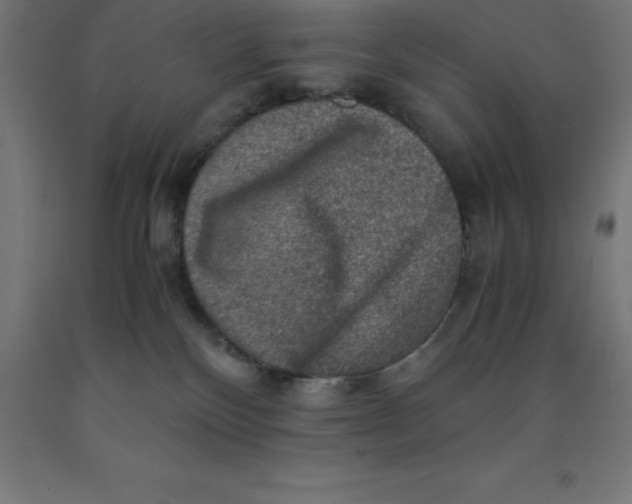 X0000092000136200709271516