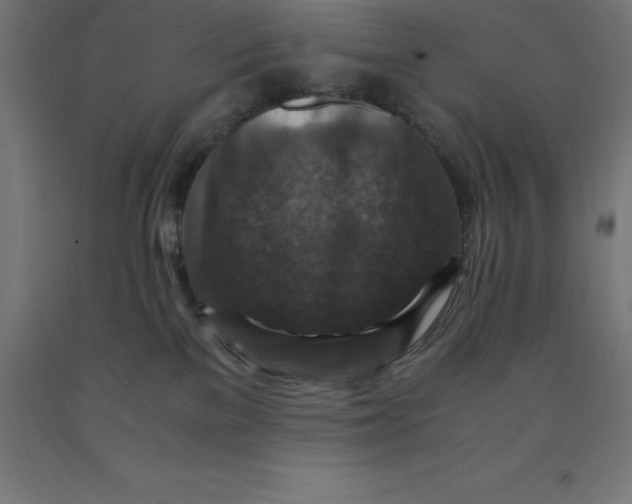 X0000092000137200709271516