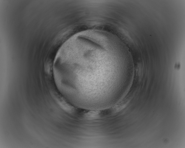 X0000092000138200709271516