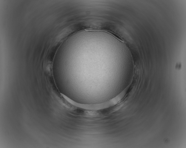 X0000092000141200709271516