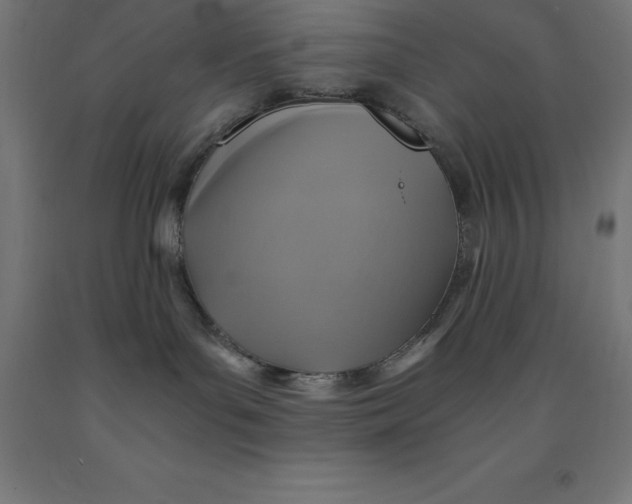 X0000092000143200709271516