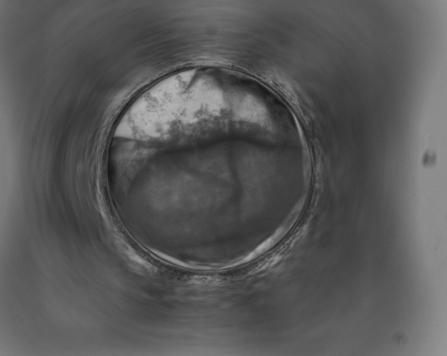 X0000092000145200709271515