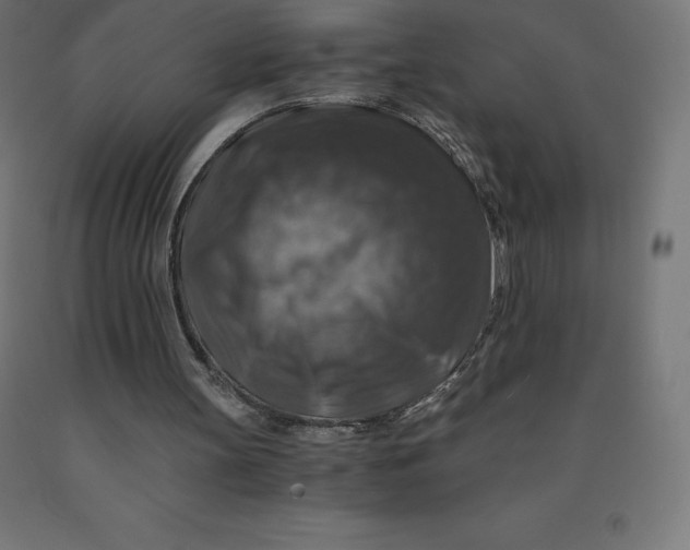 X0000092000147200709271515