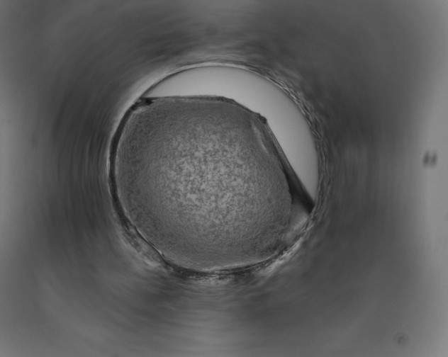 X0000092000148200709271515