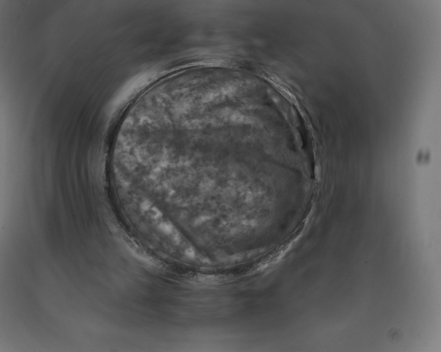 X0000092000149200709271515