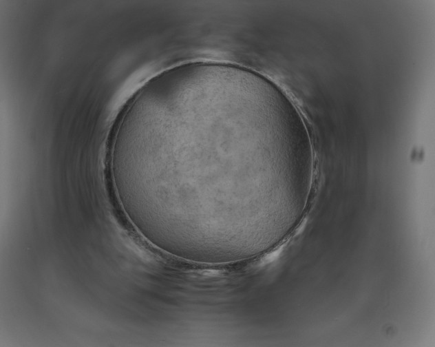 X0000092000151200709271515