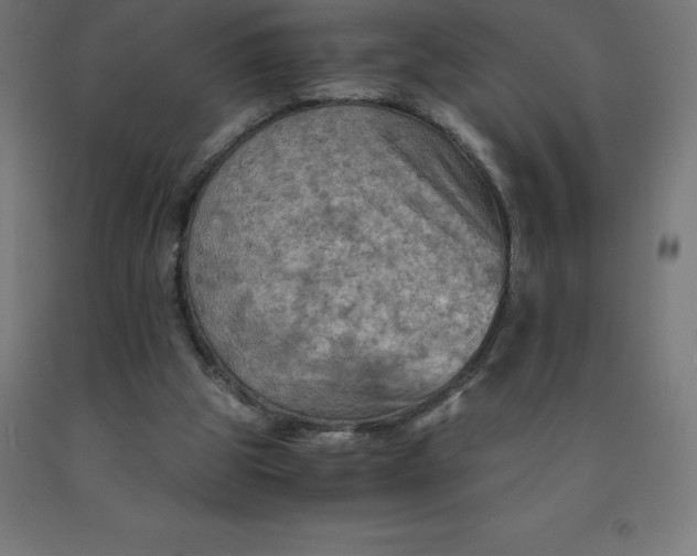 X0000092000153200709271515