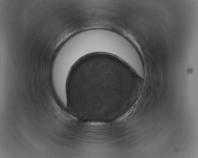 X0000092000154200709271515