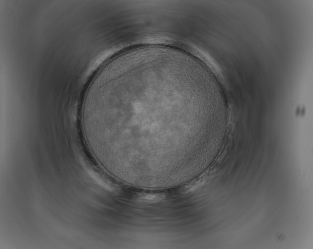 X0000092000155200709271515