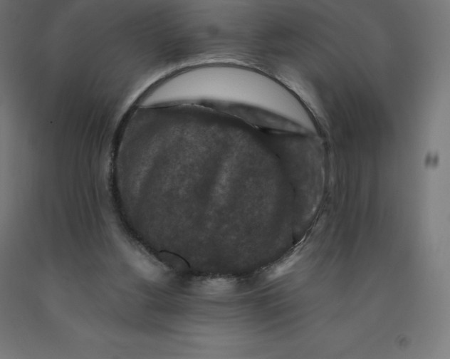 X0000092000156200709271515