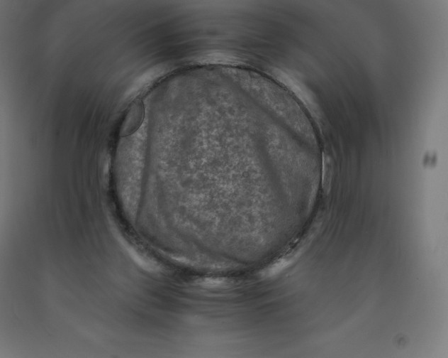 X0000092000157200709271515