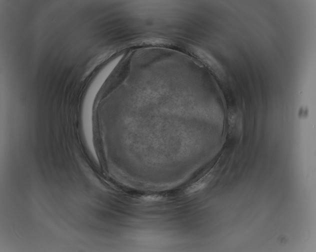 X0000092000158200709271515