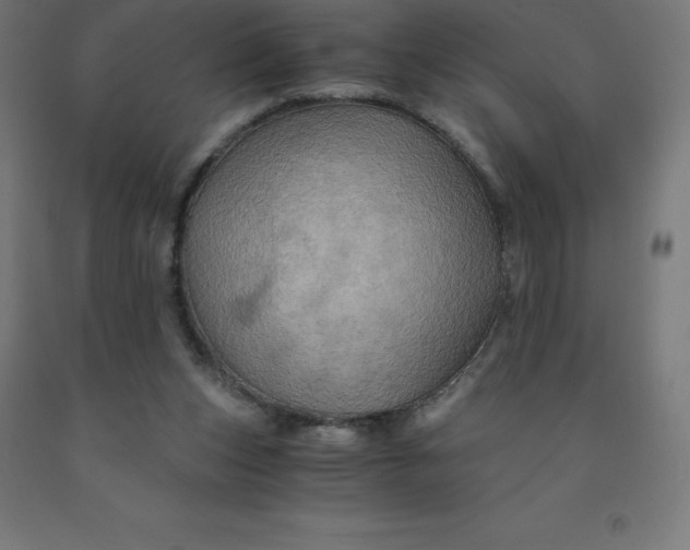 X0000092000159200709271515