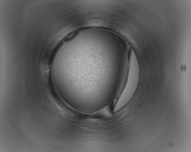 X0000092000160200709271515