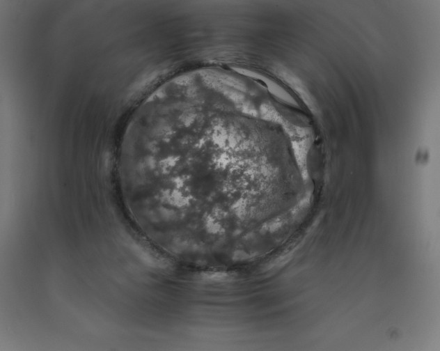 X0000092000161200709271515