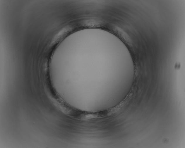 X0000092000163200709271515