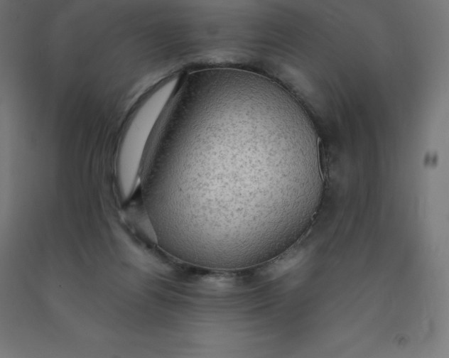 X0000092000164200709271515