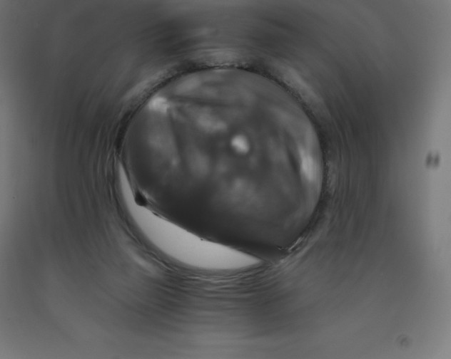 X0000092000165200709271515