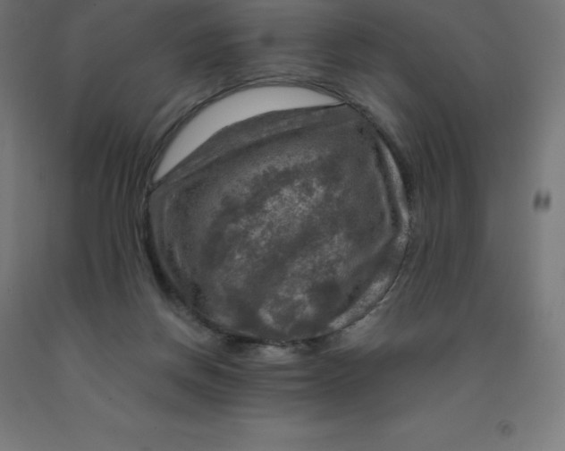 X0000092000166200709271515