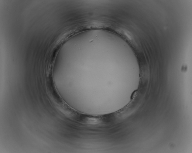 X0000092000167200709271515